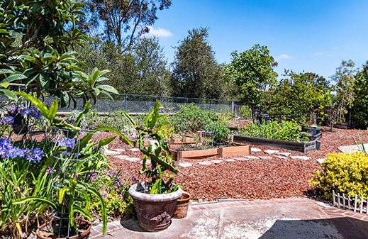 1100 Santa Delphina Ave.  Chula Vista, CA 91913